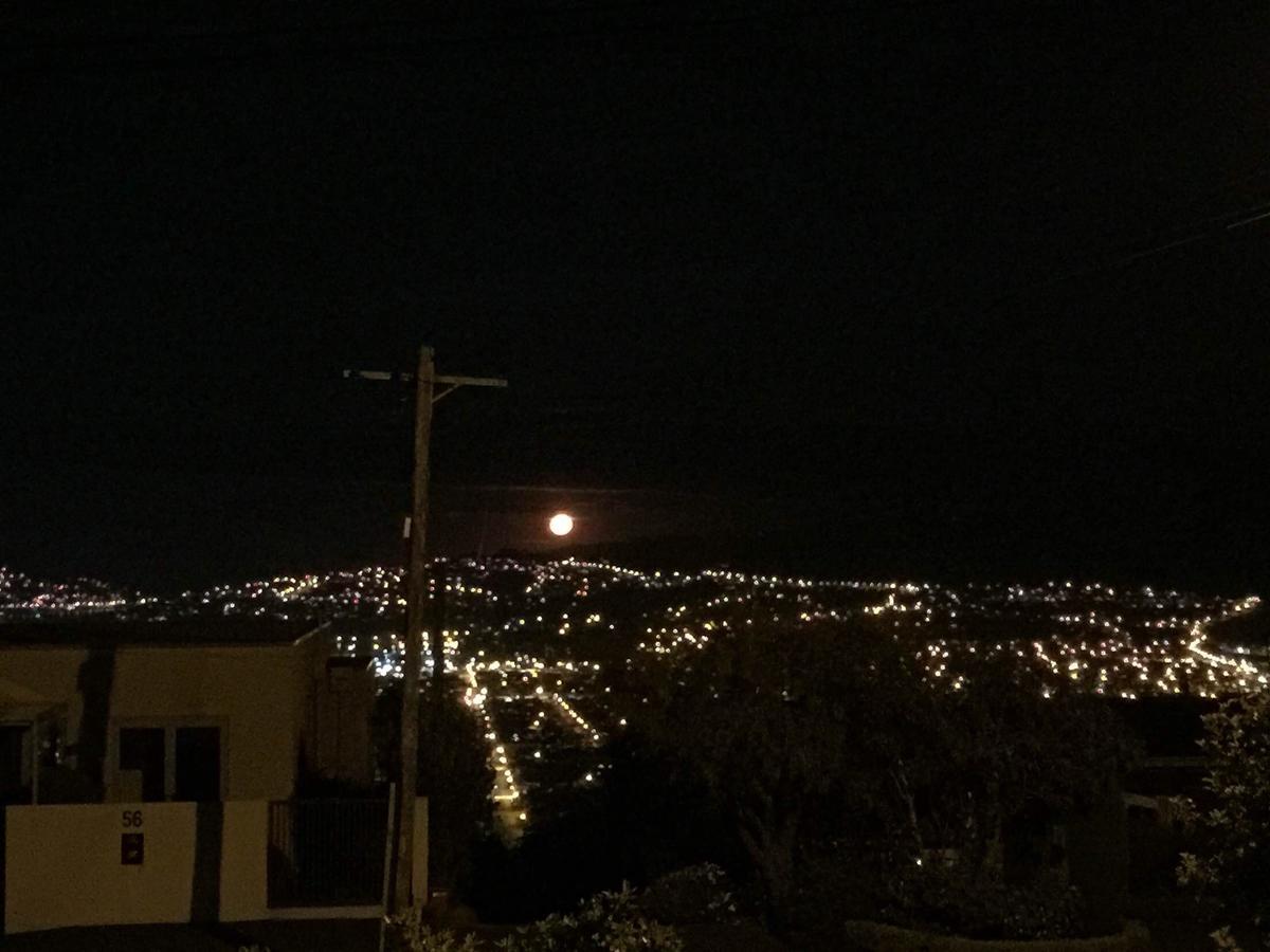 Wow @ Saint Clair Bed & Breakfast Dunedin Luaran gambar
