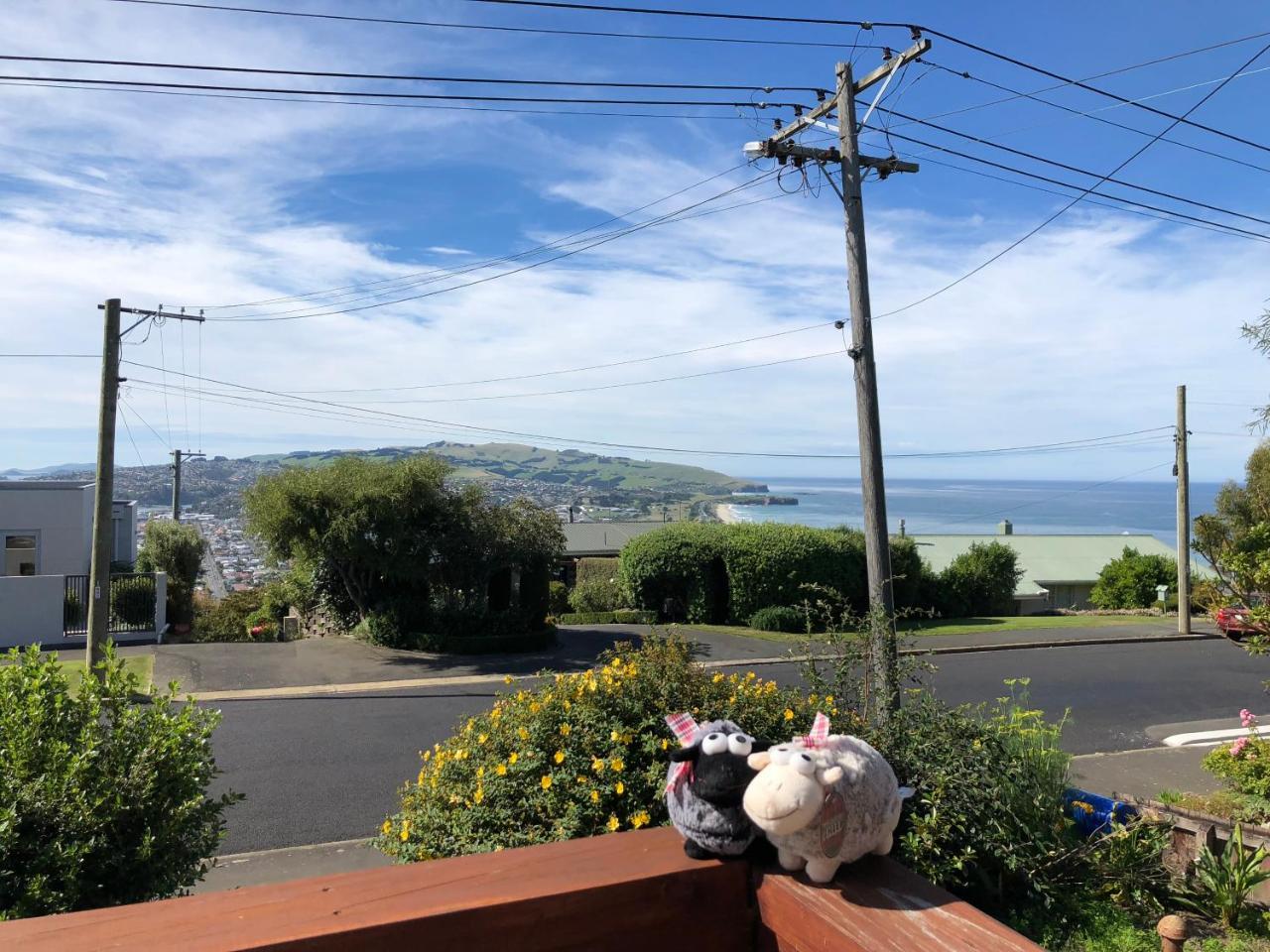 Wow @ Saint Clair Bed & Breakfast Dunedin Luaran gambar